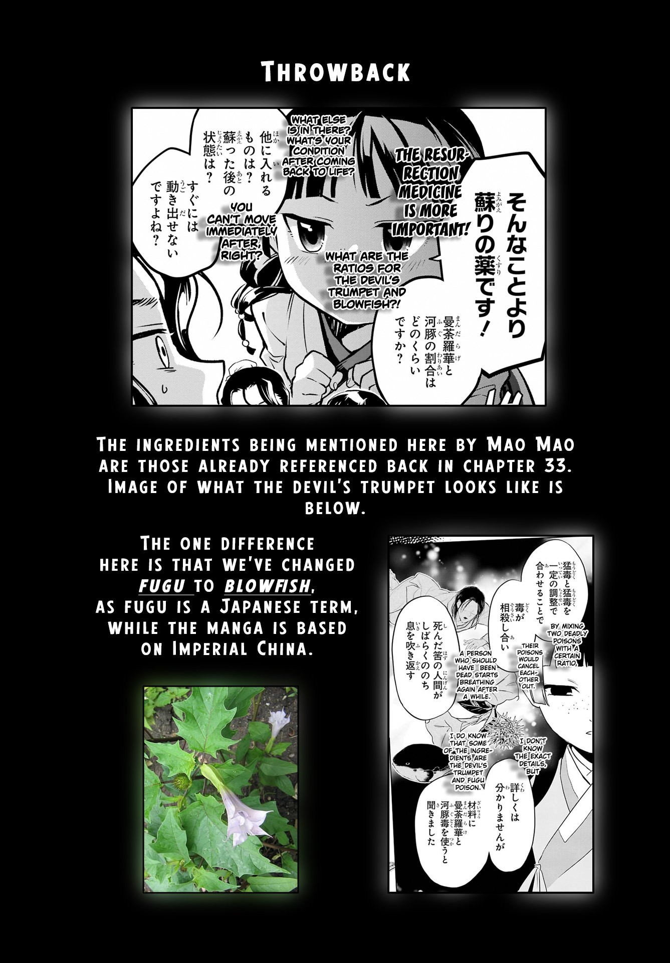 The Apothecary Diaries, Chapter 76.2 image 33